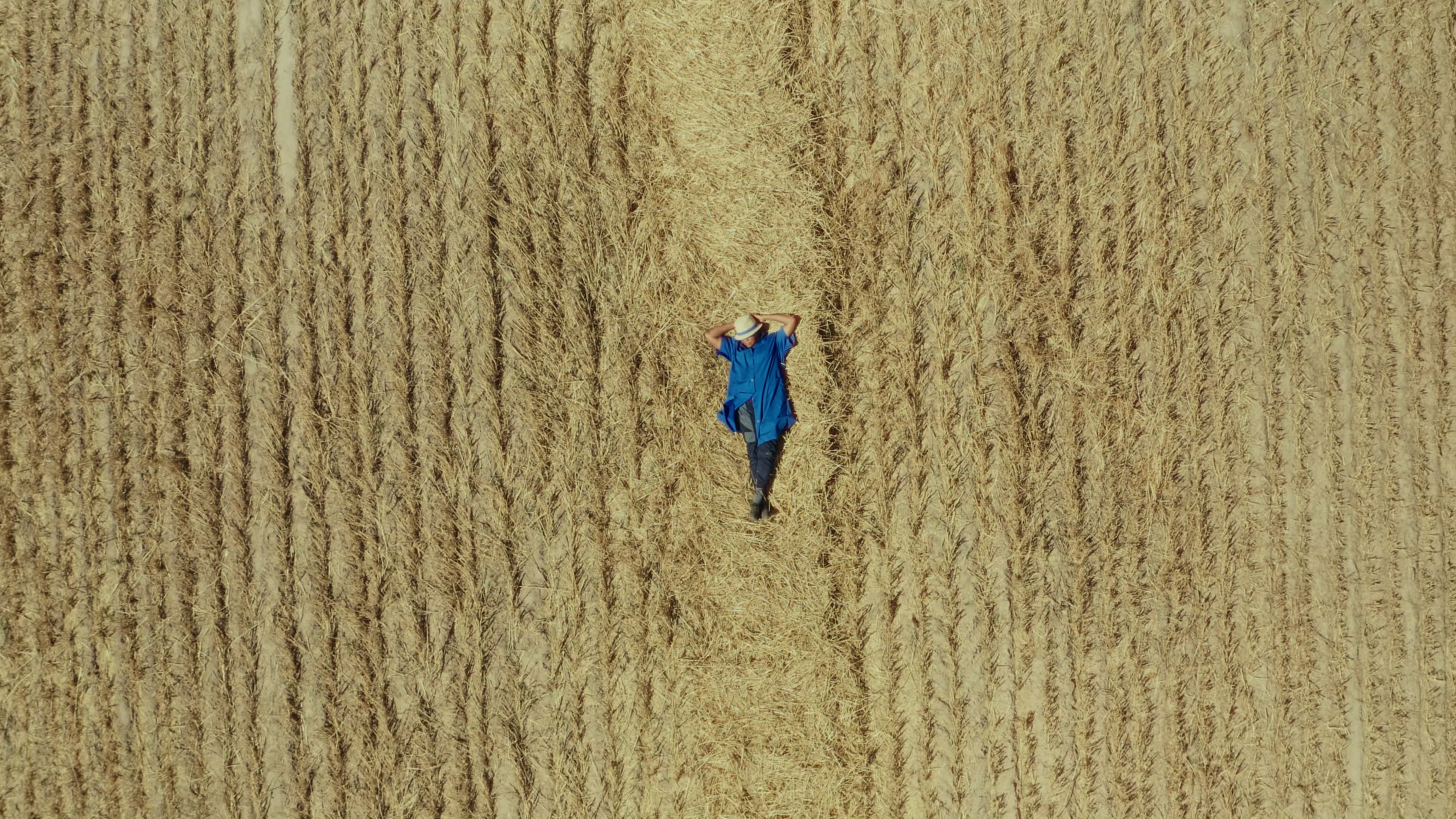 Hunger.Macht.Profite Filmfestival: Toxic Harvest